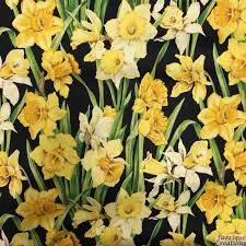 Daffodils