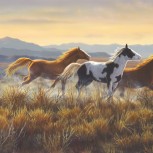 Wild Horses