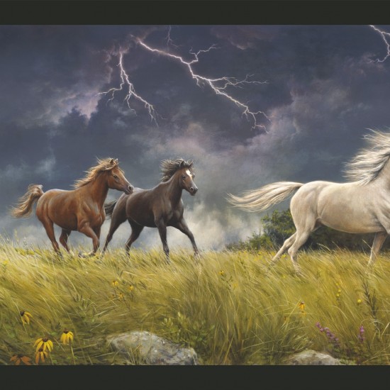 Wild Horses