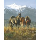 Wild Horses Col. 101 Digtal (90cm)