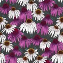 Flower Market Col. 111 Echinacea - Due Jan/Feb